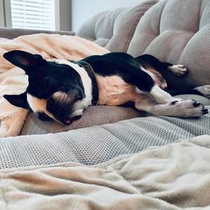 Meet your Posher, Marinela